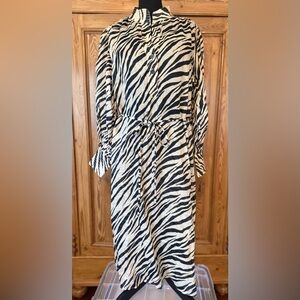 Banana Republic Zebra Print Dress